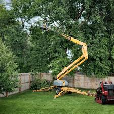 Best Utility Line Clearance  in Addison, WV