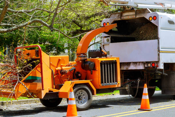 How Our Tree Care Process Works  in  Addison, WV